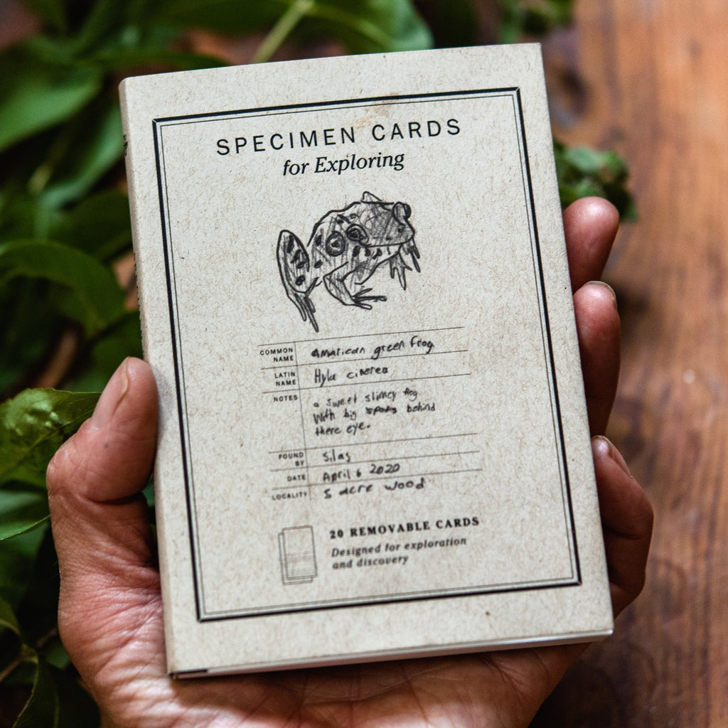 Specimen Card Book